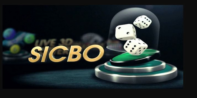 Cách Chơi Xí Ngầu: Những Điều Cơ Bản Bạn Cần Biết