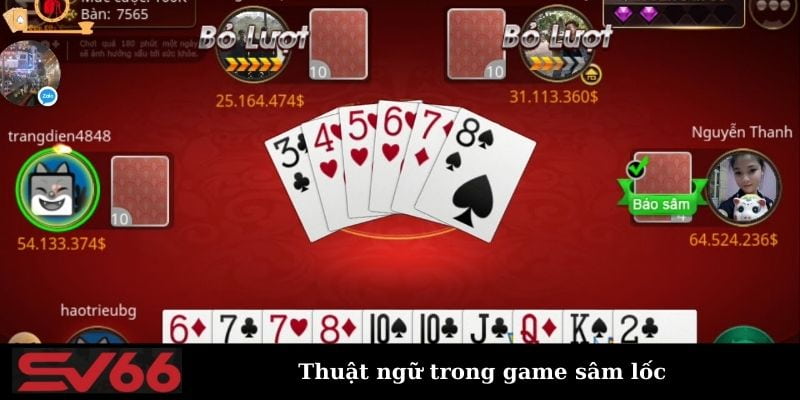 Lý Do Sâm Lốc Net88 Là Sự Lựa Chọn Hàng Đầu